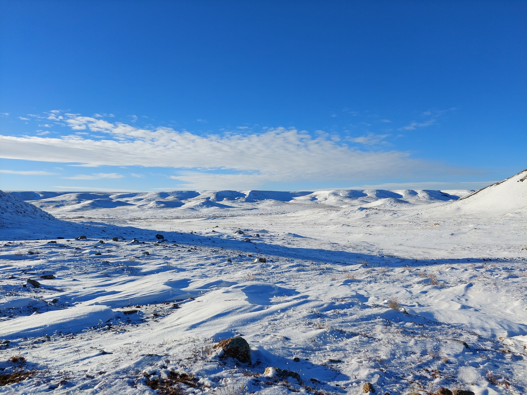 33 CER Foundation vision